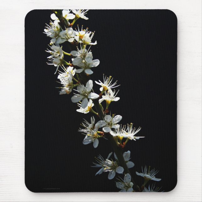 Hawthorn Flowers mpcna Mouse Pad (Front)