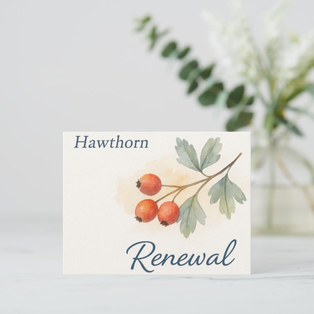 Hawthorn — Renewal Postcard (Standing Front)