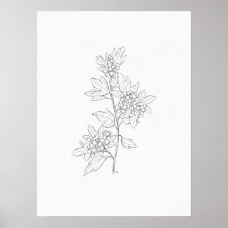 Hawthorn Sketch Art Print