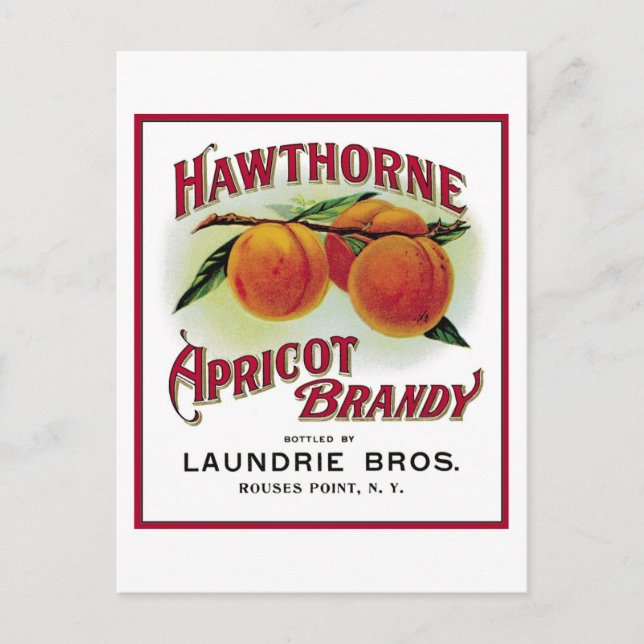 Hawthorne Apricot Brandy Postcard (Front)