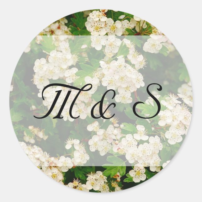 Hawthron Blossom Round Sticker (Front)