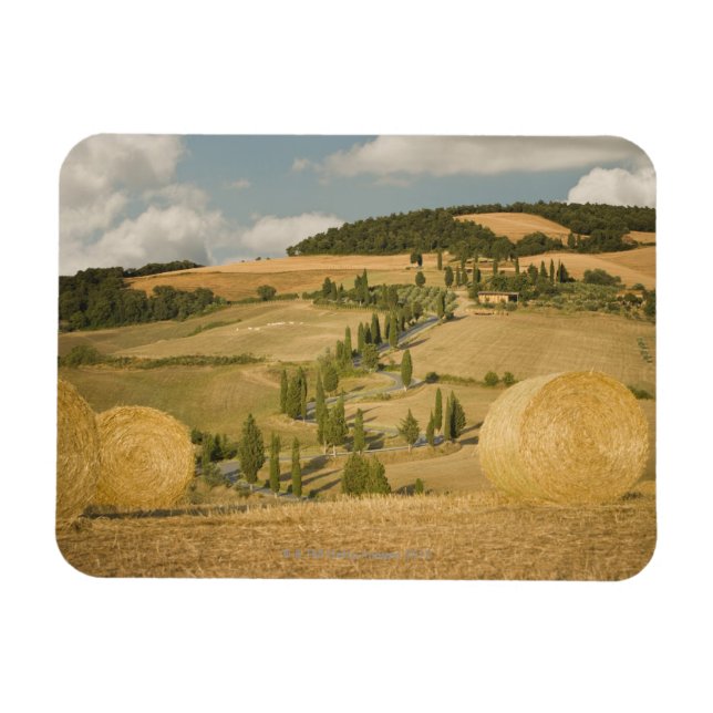 Hay bale and rolling landscape, Tuscany, Italy Magnet (Horizontal)