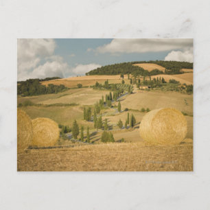 Hay bale and rolling landscape, Tuscany, Italy Postcard