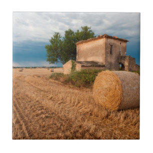 Hay bale in Provence field Tile