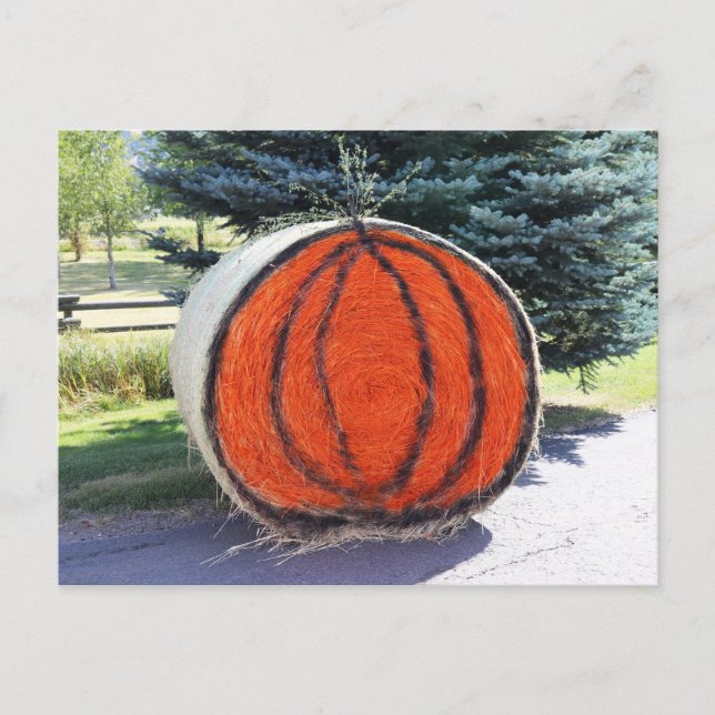 HAY BALE PUMPKIN POSTCARD (Front)