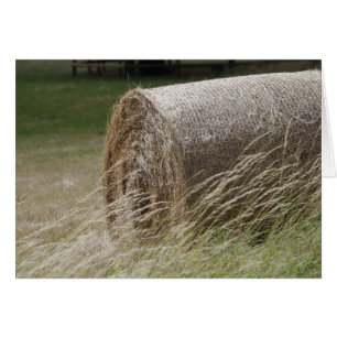 Hay bales
