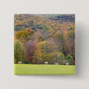 Hay bales and fall foliage, on a farm in 15 cm square badge