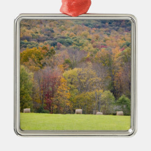 Hay bales and fall foliage, on a farm in metal ornament