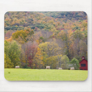 Hay bales and fall foliage, on a farm in mouse pad