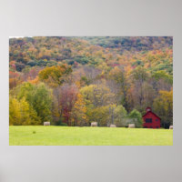 Hay bales and fall foliage, on a farm in