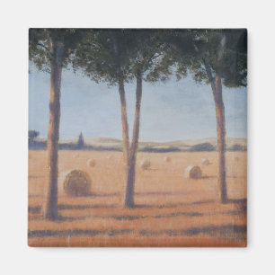 Hay Bales and Pines Pienza 2012 Magnet