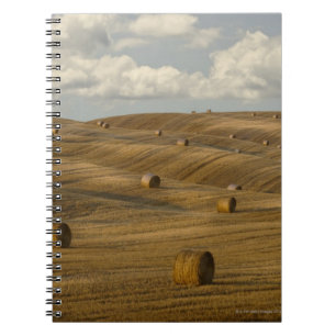 Hay bales and rolling landscape, Tuscany, Italy Notebook