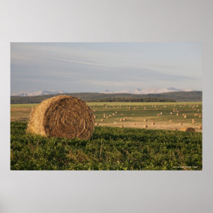 Hay Bales In A Field With Mountains At Sunrise Poster
