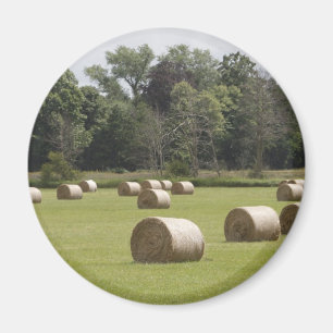 Hay bales magnet