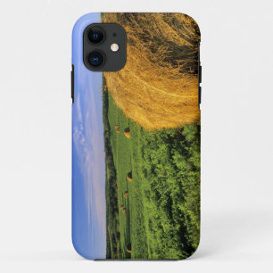 Hay Bales near Bottineau North Dakota iPhone 11 Case