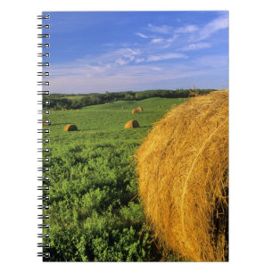 Hay Bales near Bottineau North Dakota Notebook