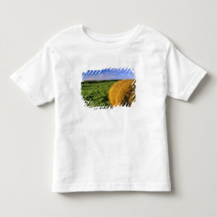 Hay Bales near Bottineau North Dakota Toddler T-Shirt