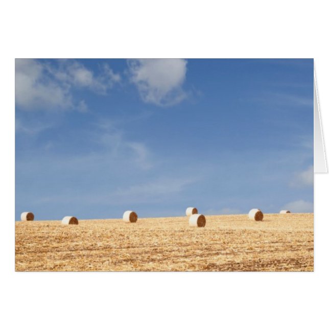 Hay Bales on Field (Front Horizontal)