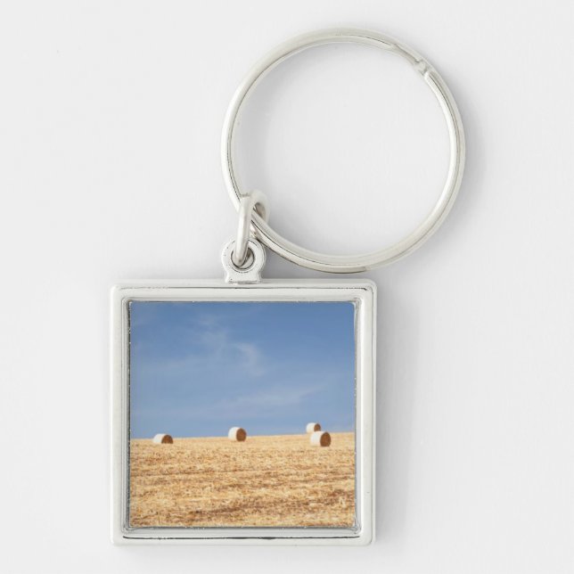 Hay Bales on Field Key Ring (Front)