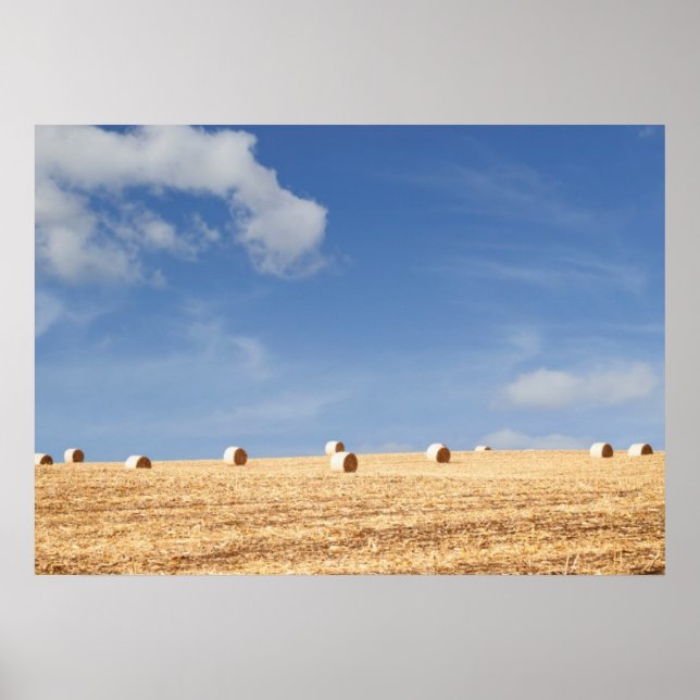 Hay Bales on Field Poster (Front)