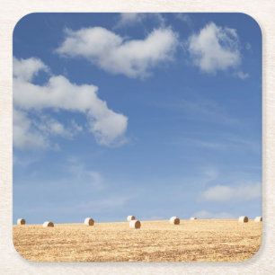 Hay Bales on Field Square Paper Coaster