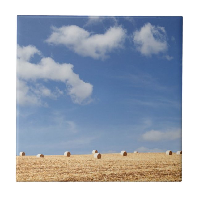 Hay Bales on Field Tile (Front)