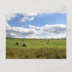 hay bales postcard