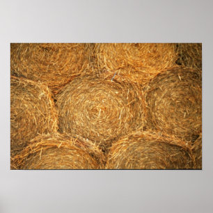 Hay balls poster