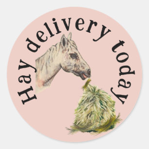 hay delivery classic round sticker