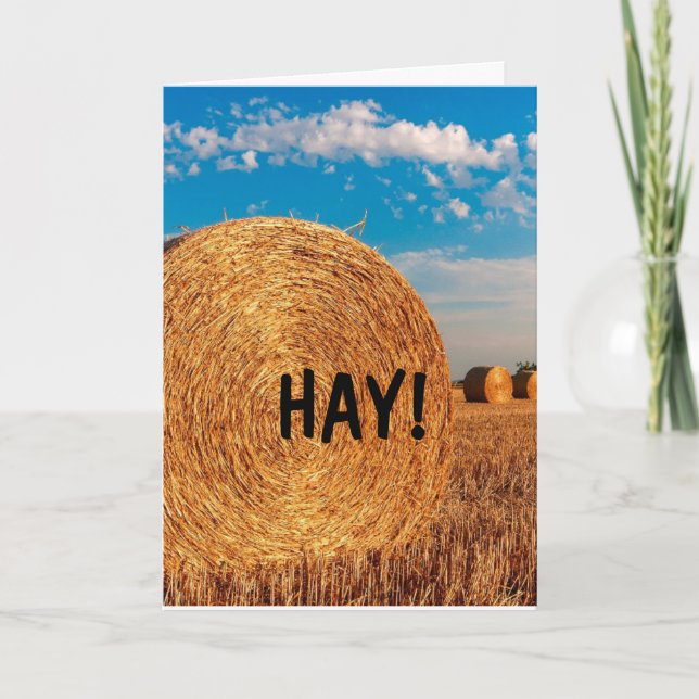 HAY FUNNY PUN HELLO Greeting Cards (Front)