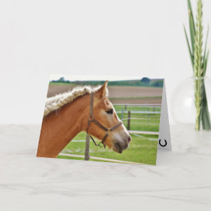 Hay Girl Happy Birthday Horse Card