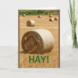 HAY! Happy Anniversary Card
