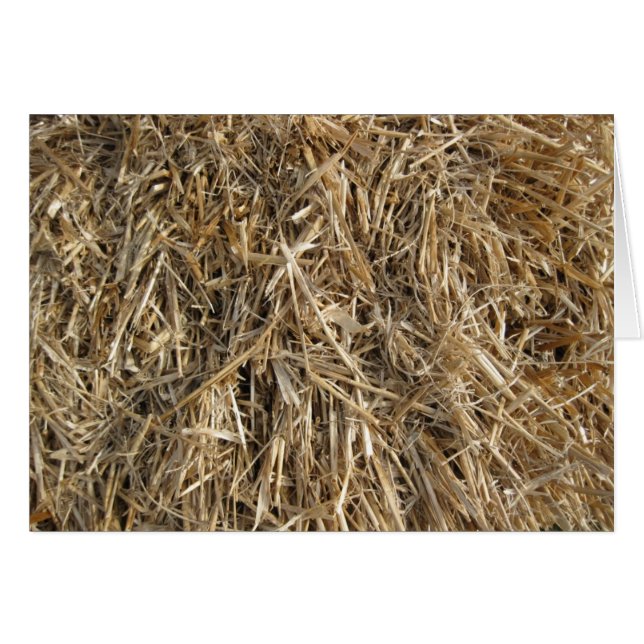 Hay! Hay! 2 (Front Horizontal)