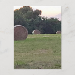 Hay in a Farmers meadow Postcard