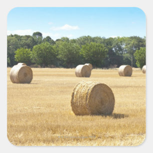 Hay in the Field, France Square Sticker