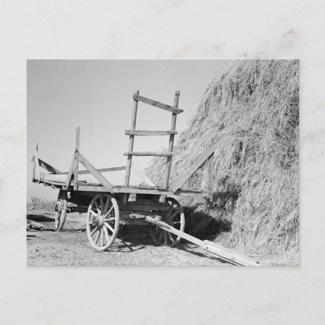Hay stack and wagon – 1939. postcard (Front)