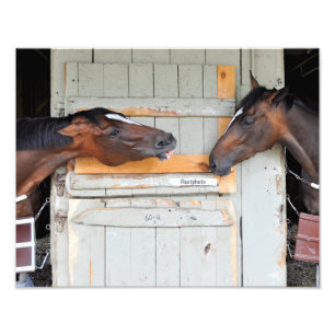 Hay There!!! Photo Print