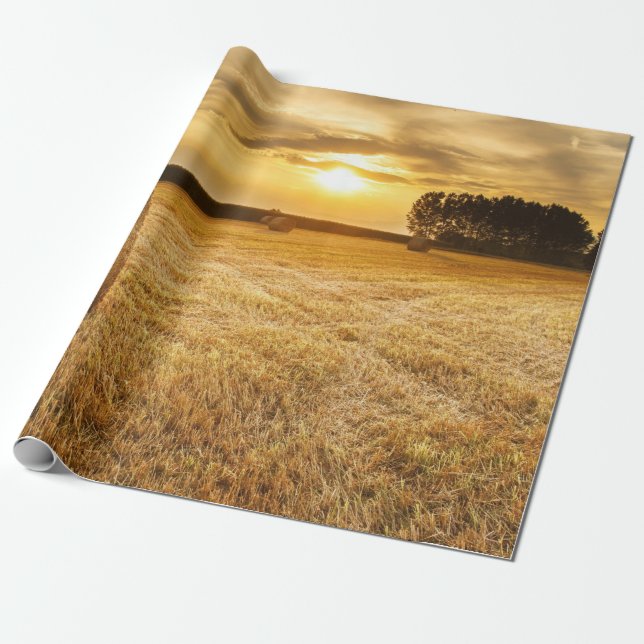 Hay Wrapping Paper (Unrolled)