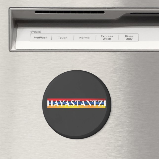 Hayastantzi Magnet (In Situ (Dishwasher))