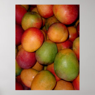 Hayden Mangoes Poster
