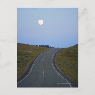 Hayden Valley Postcard