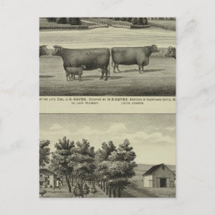 Hayes, Olathe, and Ellis Residence and Farm Postcard