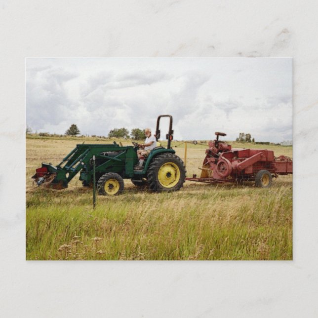 Haying in Golden Ranch Fields Postcard (Front)