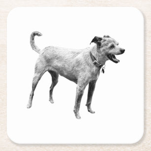 Hayride Echo Square Paper Coaster