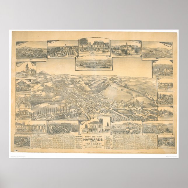 Hayward, CA. Panoramic Map (0696A) Poster (Front)