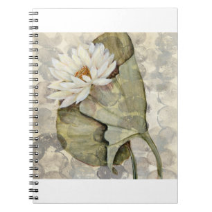 HAZ23 Amazonia 1.tif Notebook