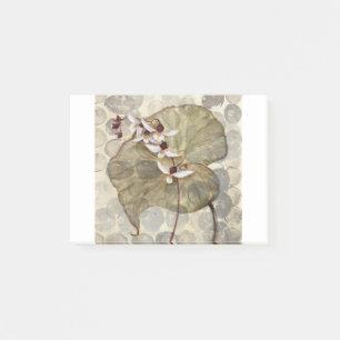 HAZ24 Amazonia 2.tif Post-it Notes
