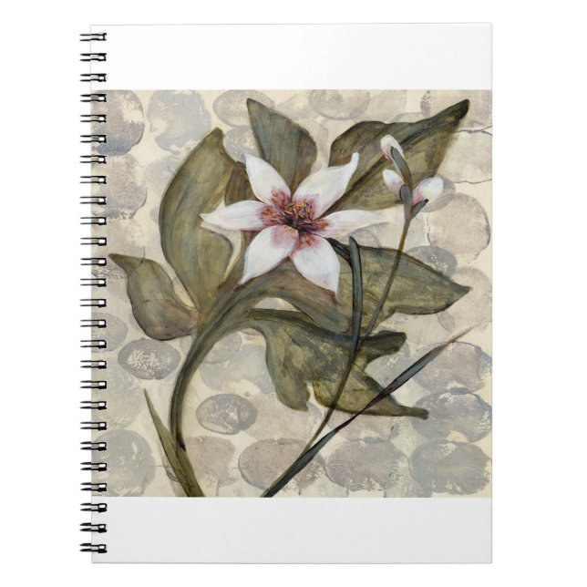 HAZ26 Amazonia 4.tif Notebook (Front)