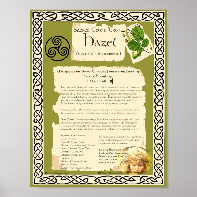 HAZEL CELTIC SACRED TREE POSTER (Front)