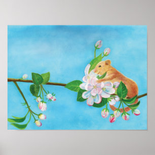 Hazel Dormouse on a blooming branch Poster